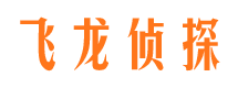 理县市私家侦探